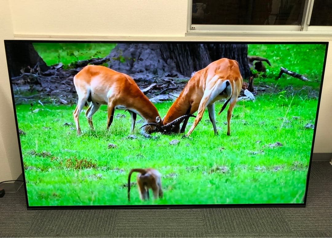 【超美品】SONY BRAVIA 77型4K 有機ELテレビ　2018年製