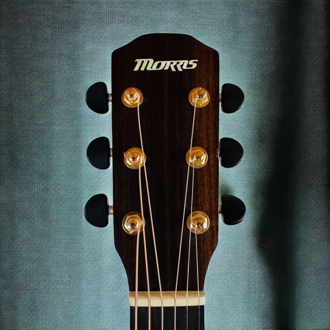 Morris モーリス　S-30 アコースティックギター