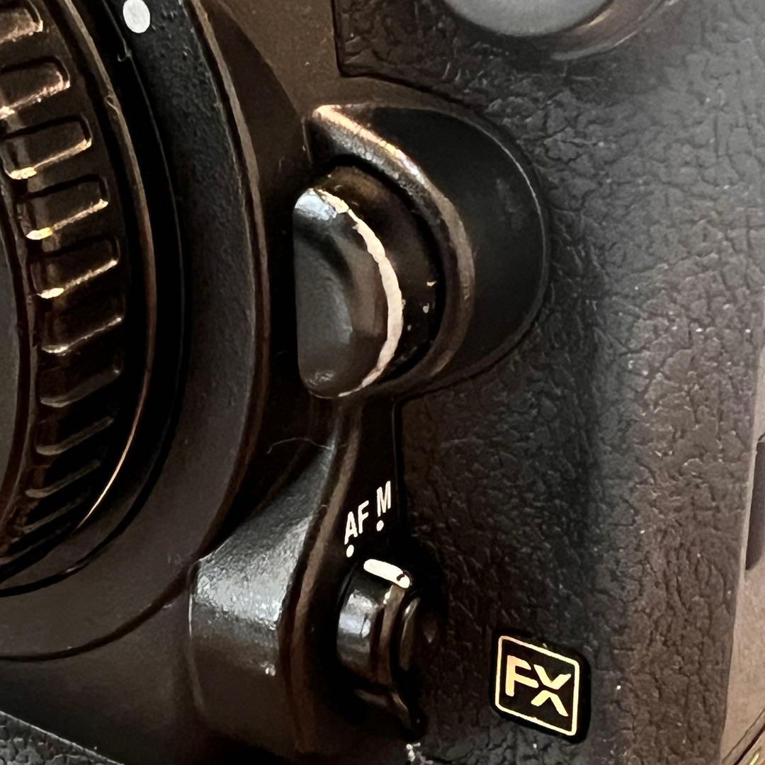 【ほととぎす】Nikon D4 フラッグシップデジタル一眼レフカメラ