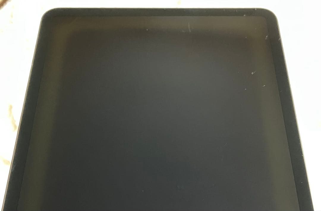 【早い者勝ち】iPad Pro 11インチ 第2世代 256GB 【すぐ発送】