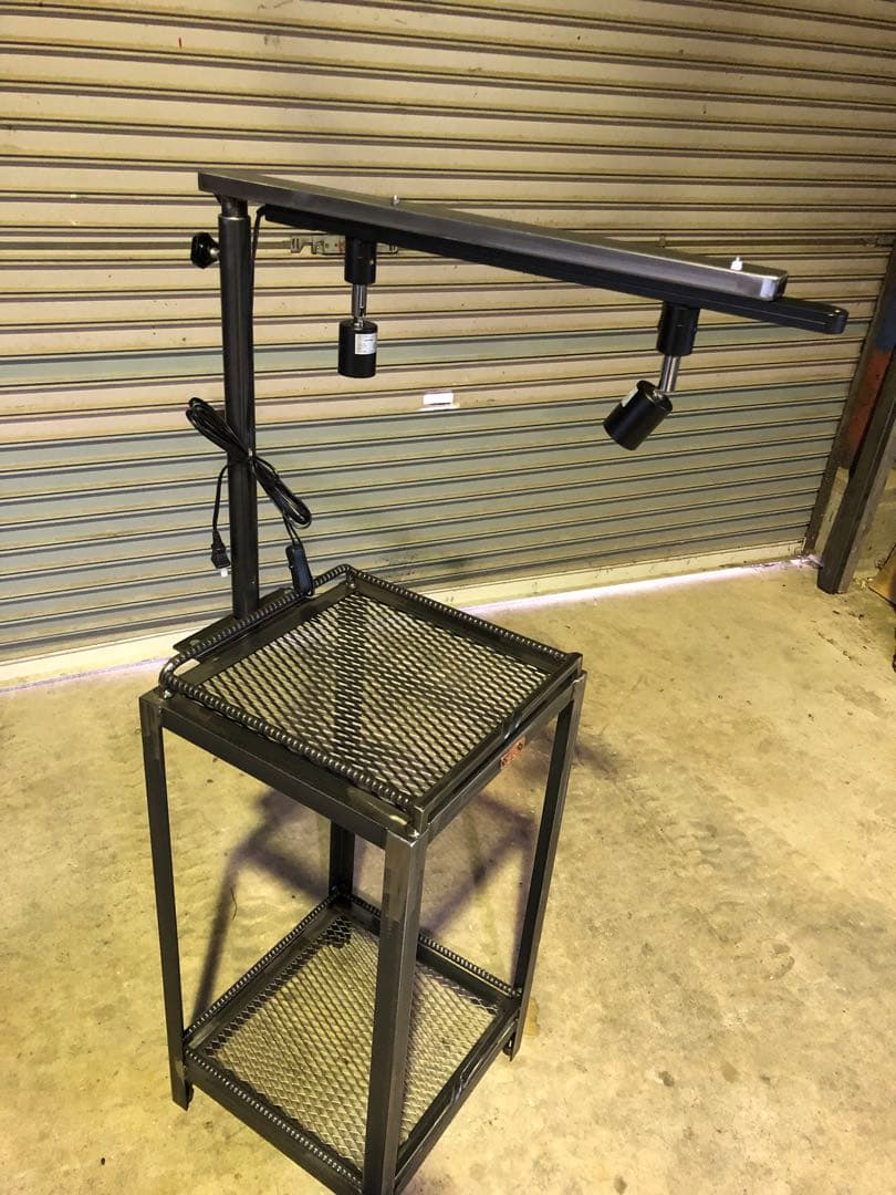 魅せる　アガベ育成棚