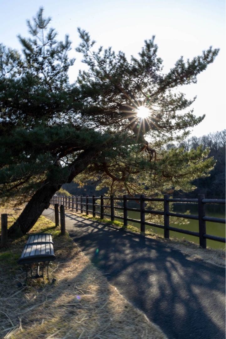 EOS R ボディ/動作良好/防湿庫保管/フルサイズミラーレス　初めての方に！