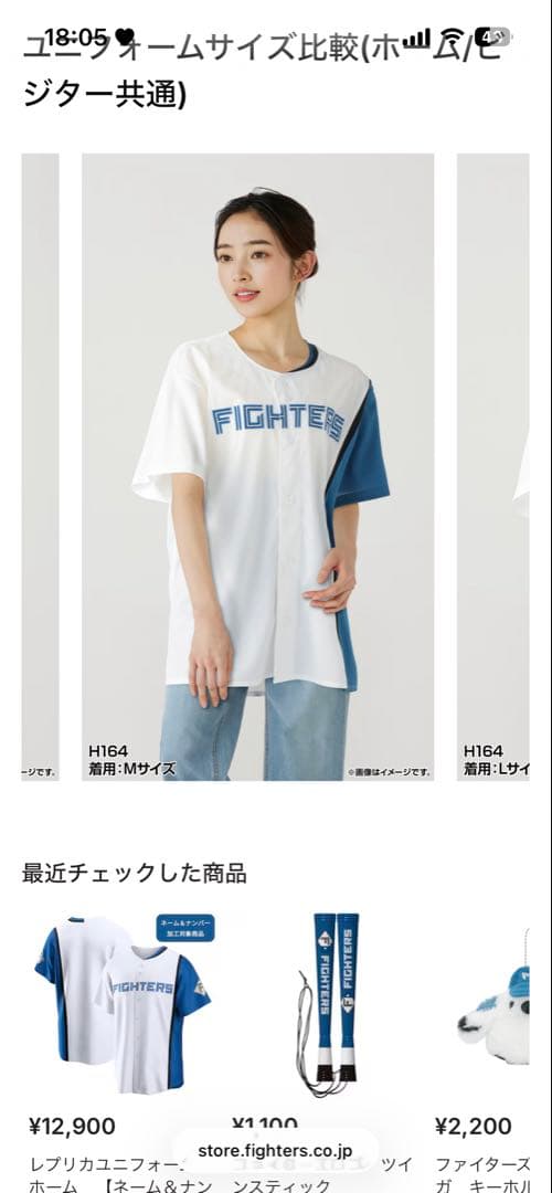 【1回のみ使用】ファイターズ 応援セット！【1月中限り定価15%off】