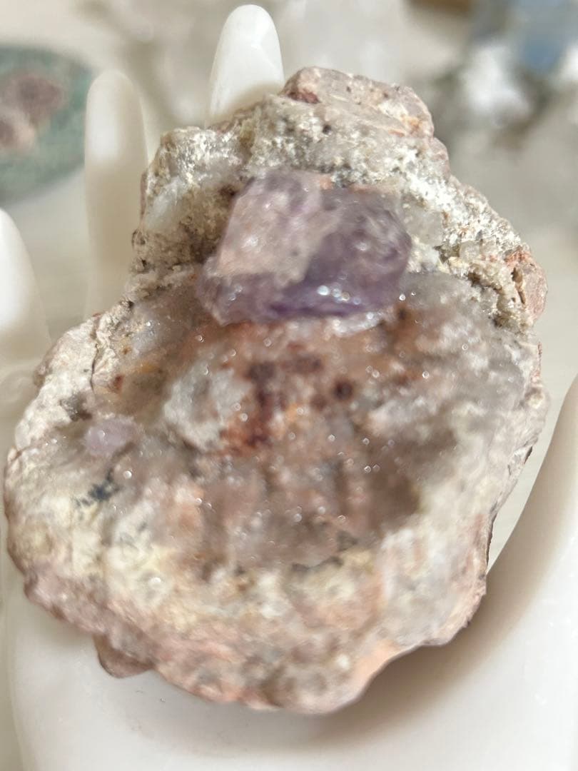 ピンクアメジスト × アメジスト 共生原石 ― 成長の時間を宿す一点 ―