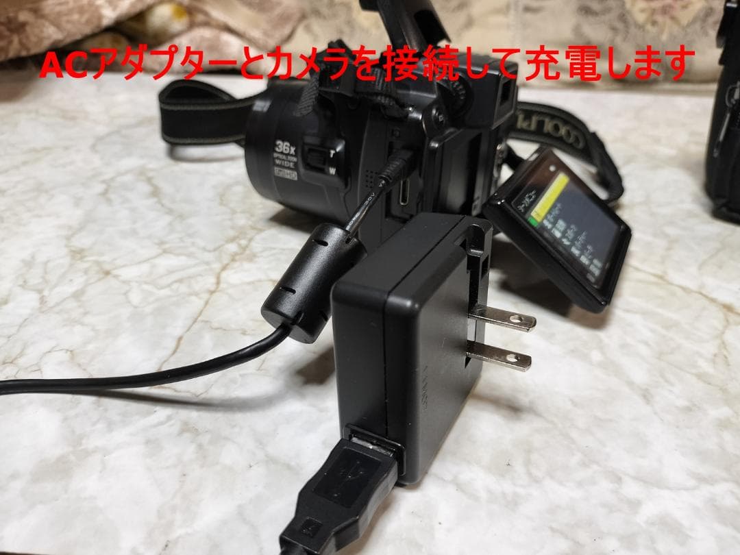 驚異の36倍ズーム！Nikon COOLPIX P500高倍率 バリアングル液晶