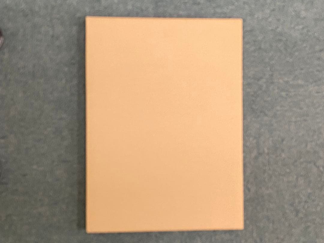 デジタルモンスター複製原画 256枚限定