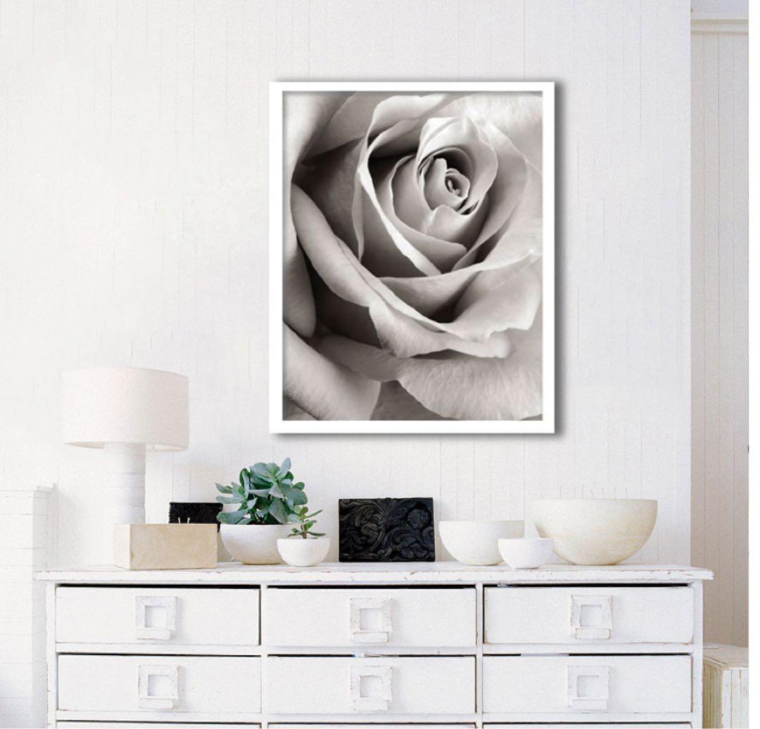 Steven N. Meyers Rose X線アート モノトーン65×81cm