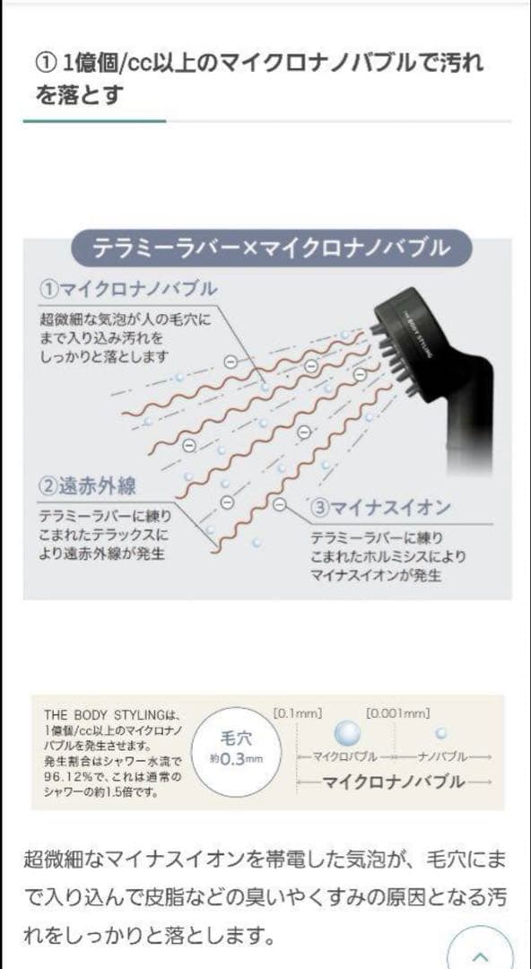 【新品·未使用】THE BODY STYLING シャワーヘッド