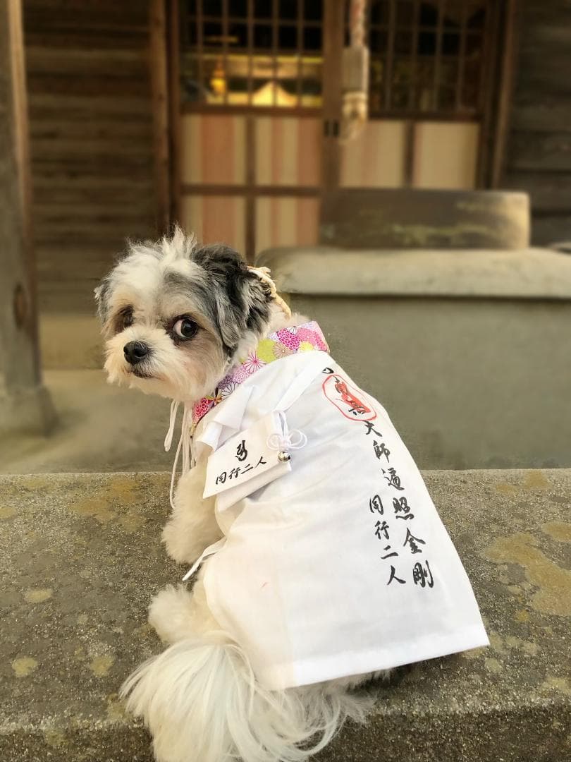 ペット用お遍路白衣三点セット　Мまで