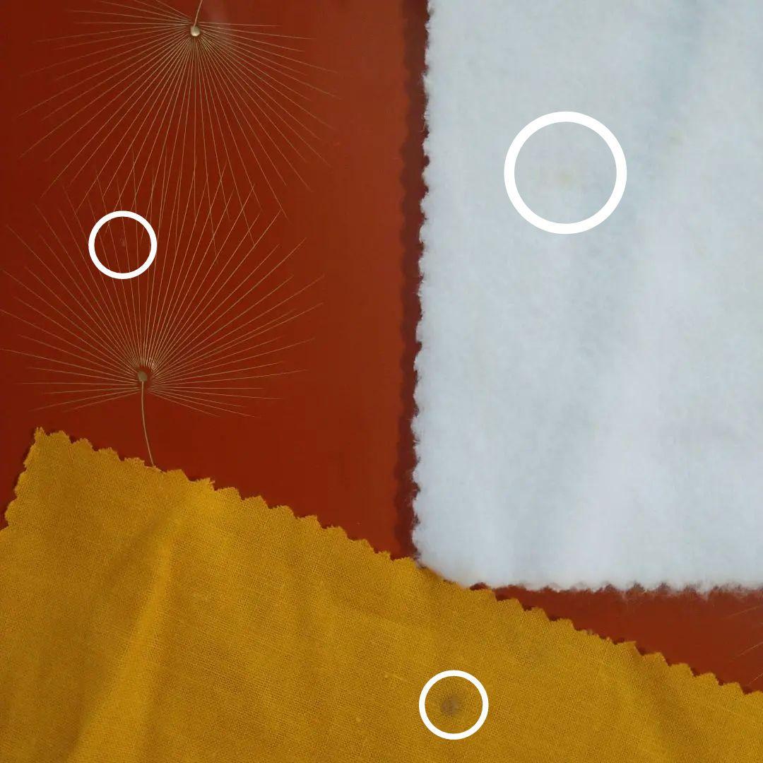 【美品】輪島塗　わじま龍作　有重強 作　丸盆