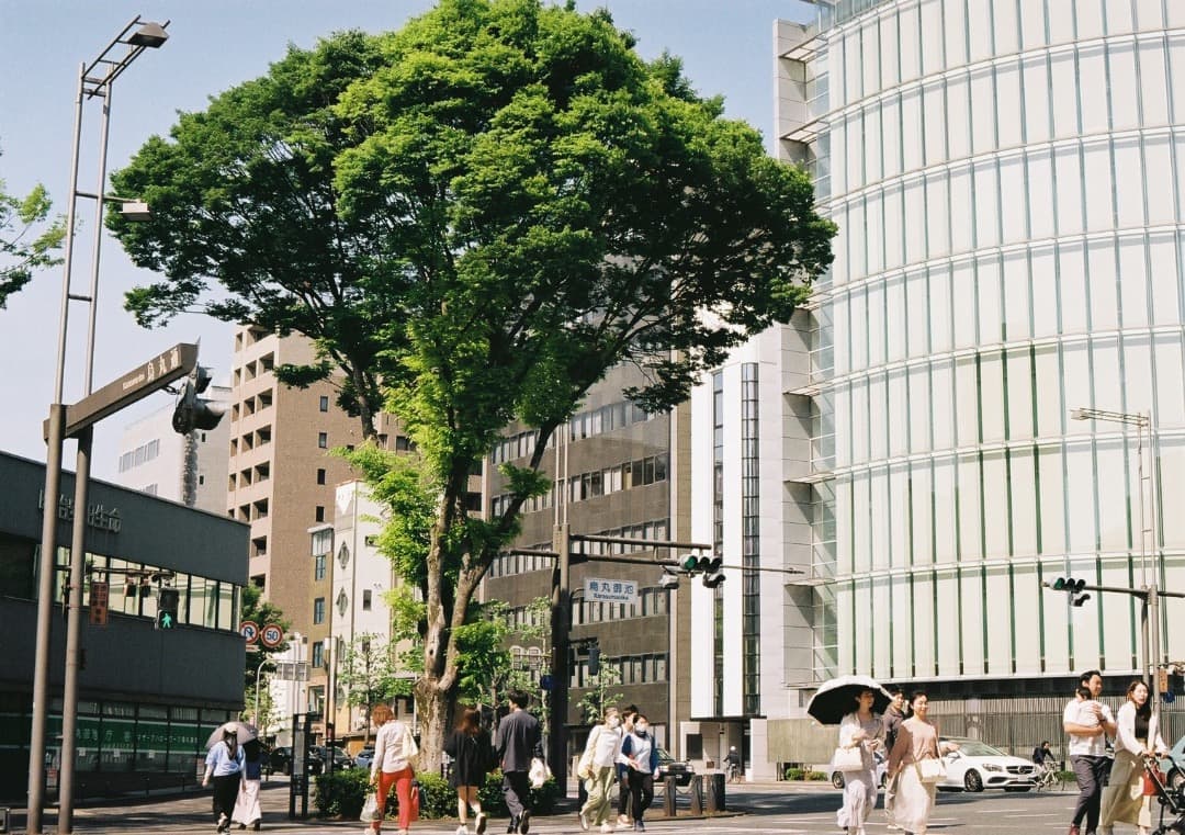 動作品・実写確認済 MINOLTA XD＋MD ROKKOR 50mm f1.4