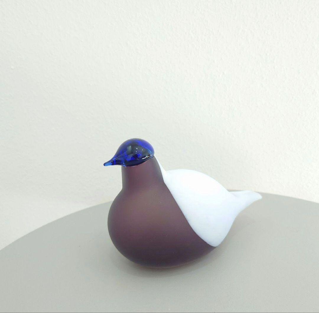  バード purple finch マット 稀少 イギリス限定