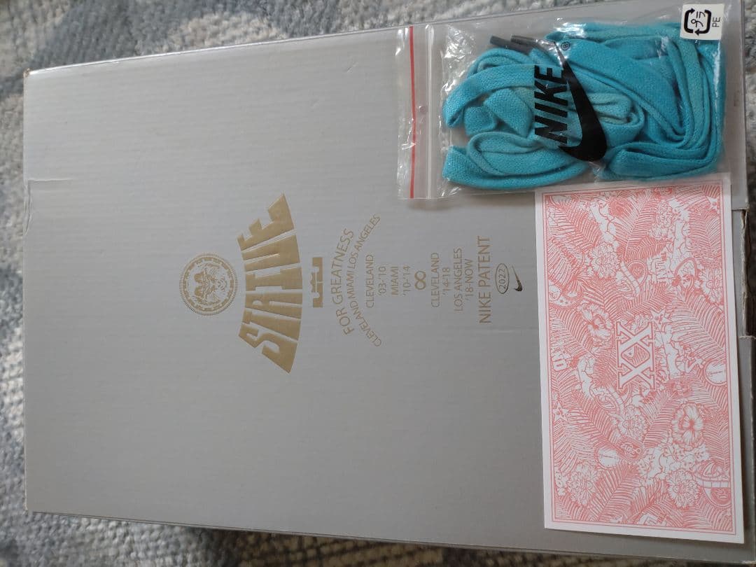 最終値下げ！NIKE レブロン20 オールスター 26cm