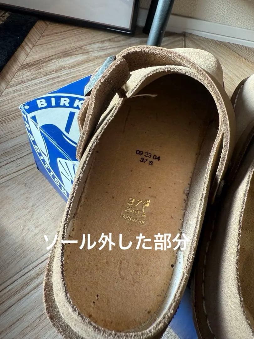 Lutry Premium Suede / ルトリー　24cm