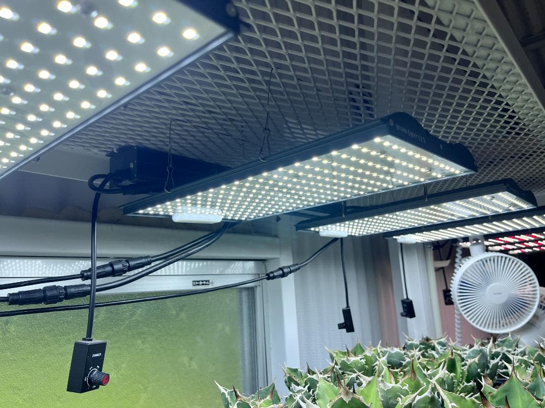 【新品未使用】Helios Green LED PRO HGP101（パネル型）