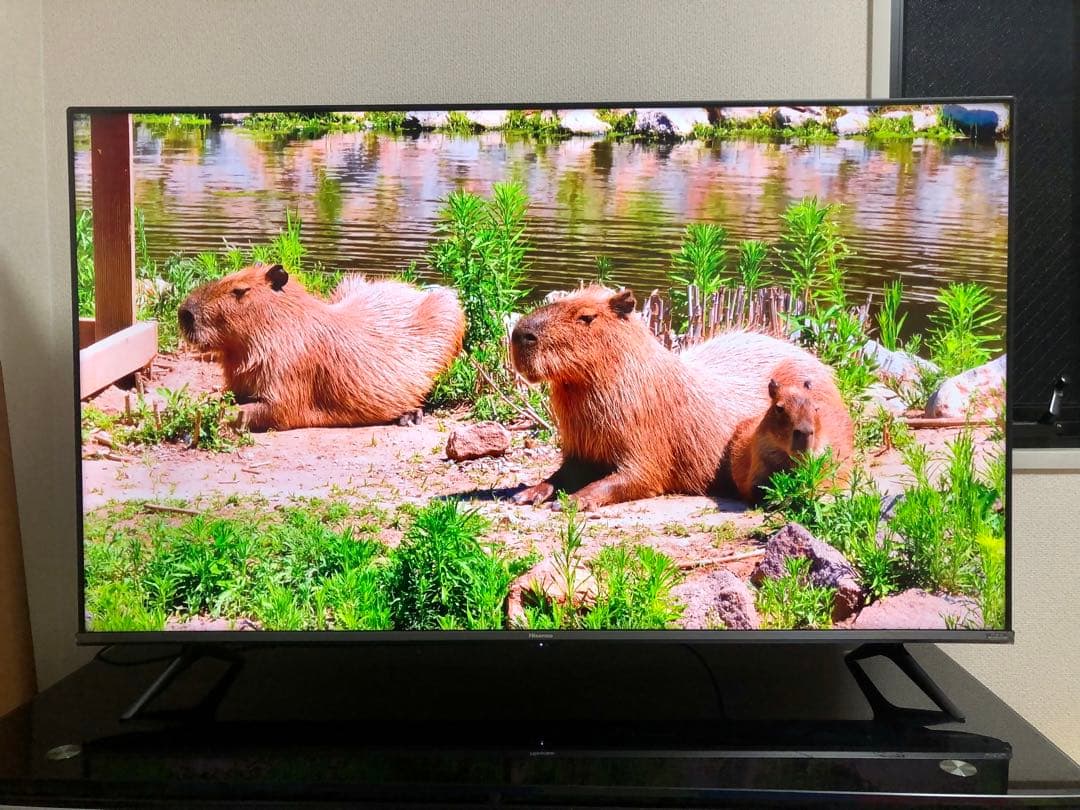 2021年製！50V型 4Kチューナー内蔵 液晶テレビ 50A65G ネット動画