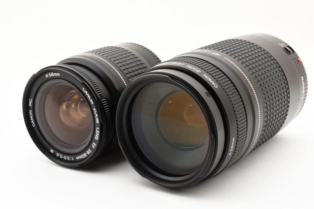 デジタル一眼レフカメラCanon EOS 7D MarkⅡ標準&望遠レンズセット