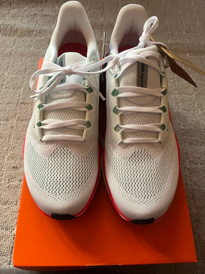 Nike ペガサス41 27cm