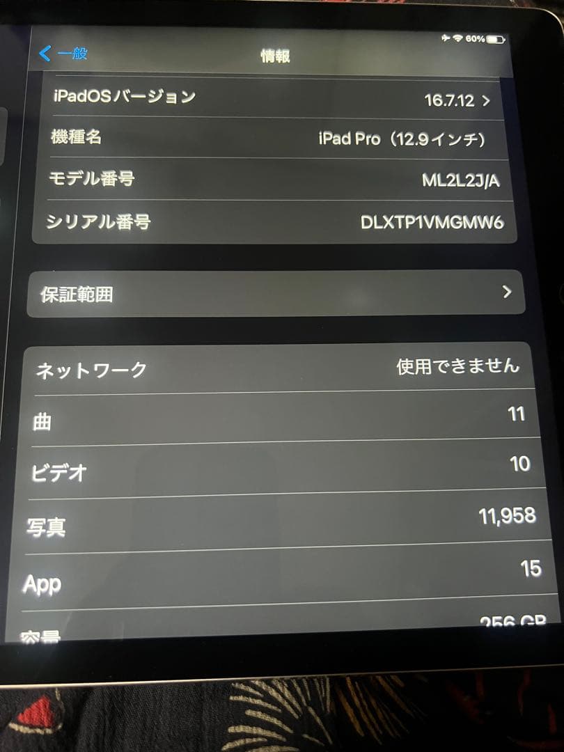 iPad Pro 12.9インチ ジャンク