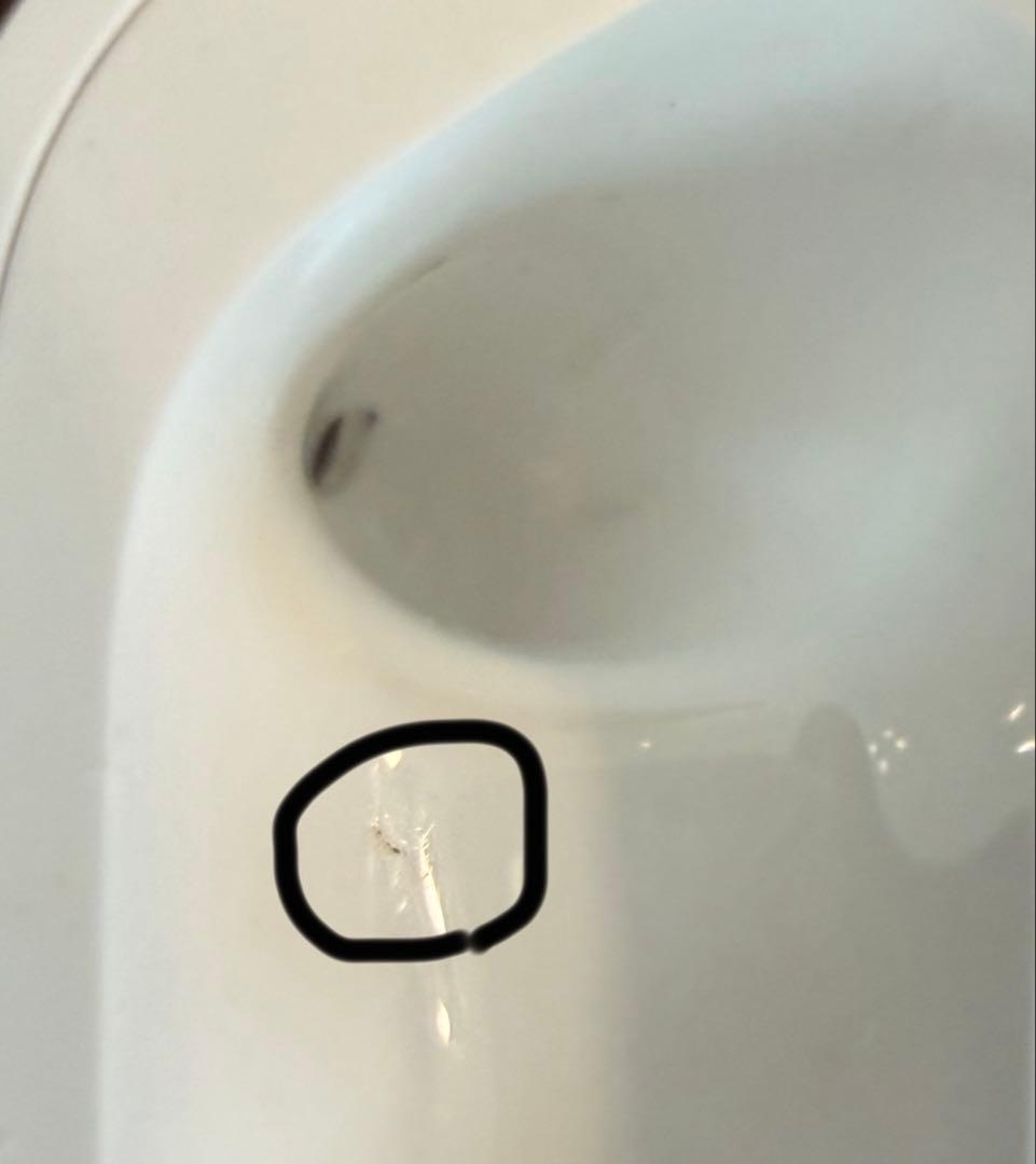 AirPodsPro 第3世代