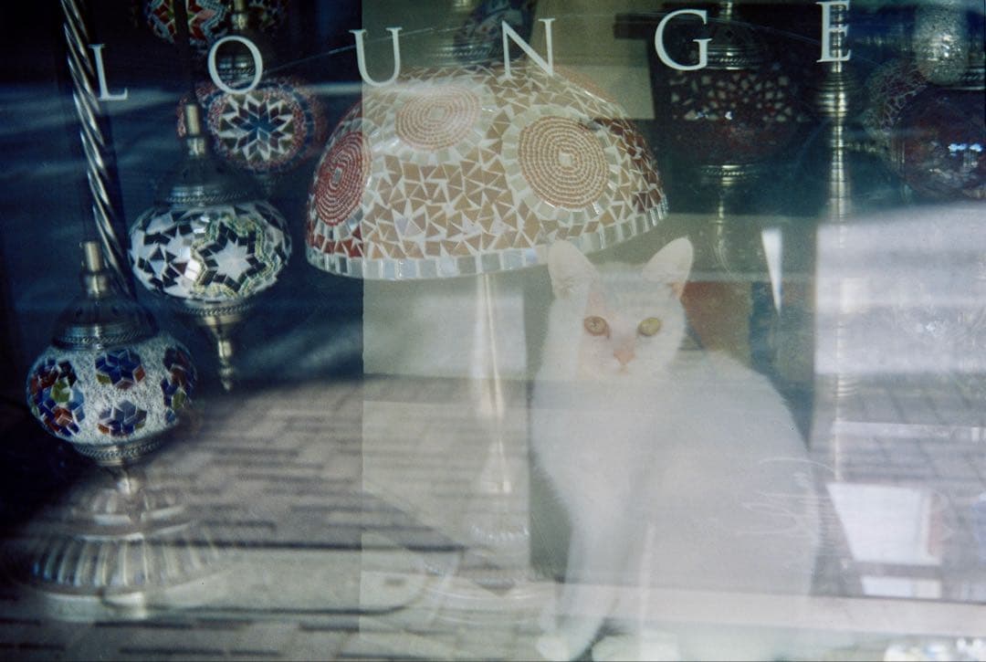 ローライ ROLLEI B35 【撮影可】【ジャンク】【作品アリ】