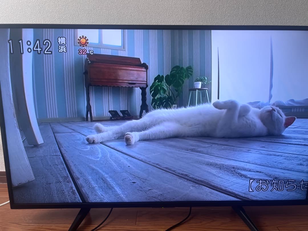 *プ…ボ* 43型 4K HDRテレビ LE-4317AKT-BK