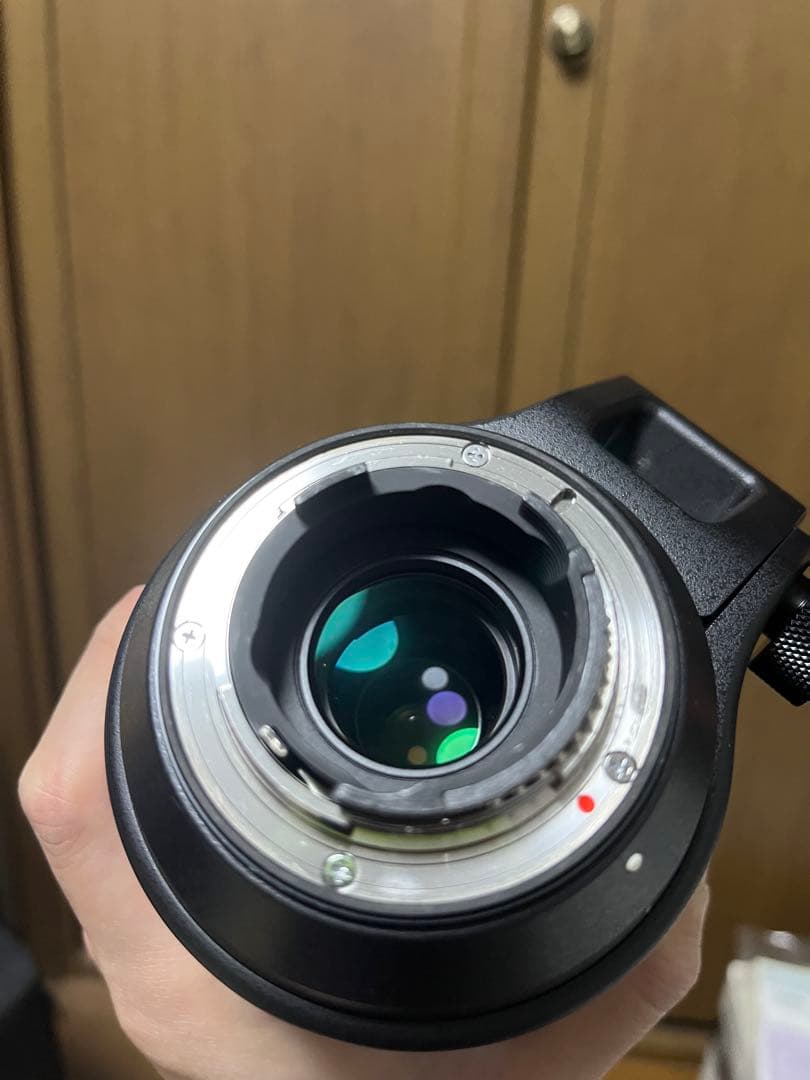 SIGMA 150-600mm F5-6.3 DG ニコンF Nikon