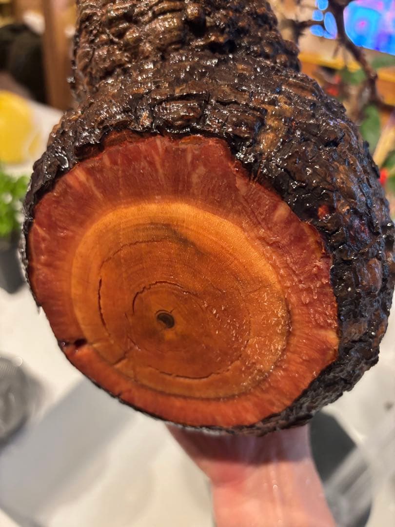 k*♡様 オペルクリカリアパキプス　発根管理中株