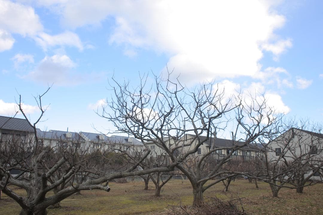 ☆完全動作☆Ai NIKKOR 28mm F2 単焦点　広角　＃166