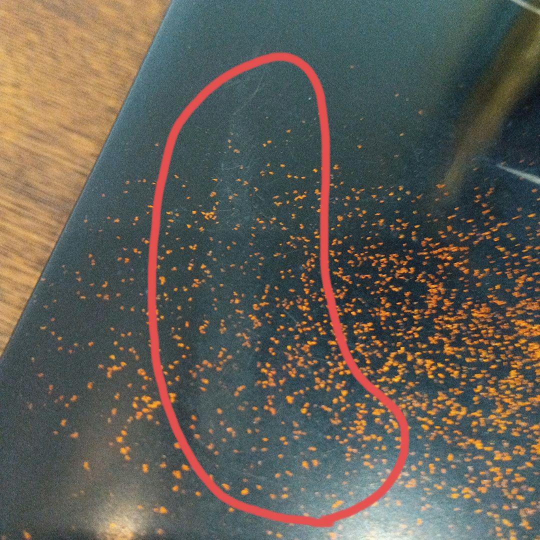 漆塗り 文箱 草花模様　螺鈿　硯箱　ヴィンテージ