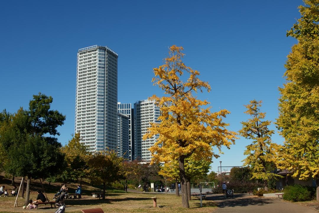 白いスナイパー！SIRUI Suniper 23mm F1.2 ASP-C AF