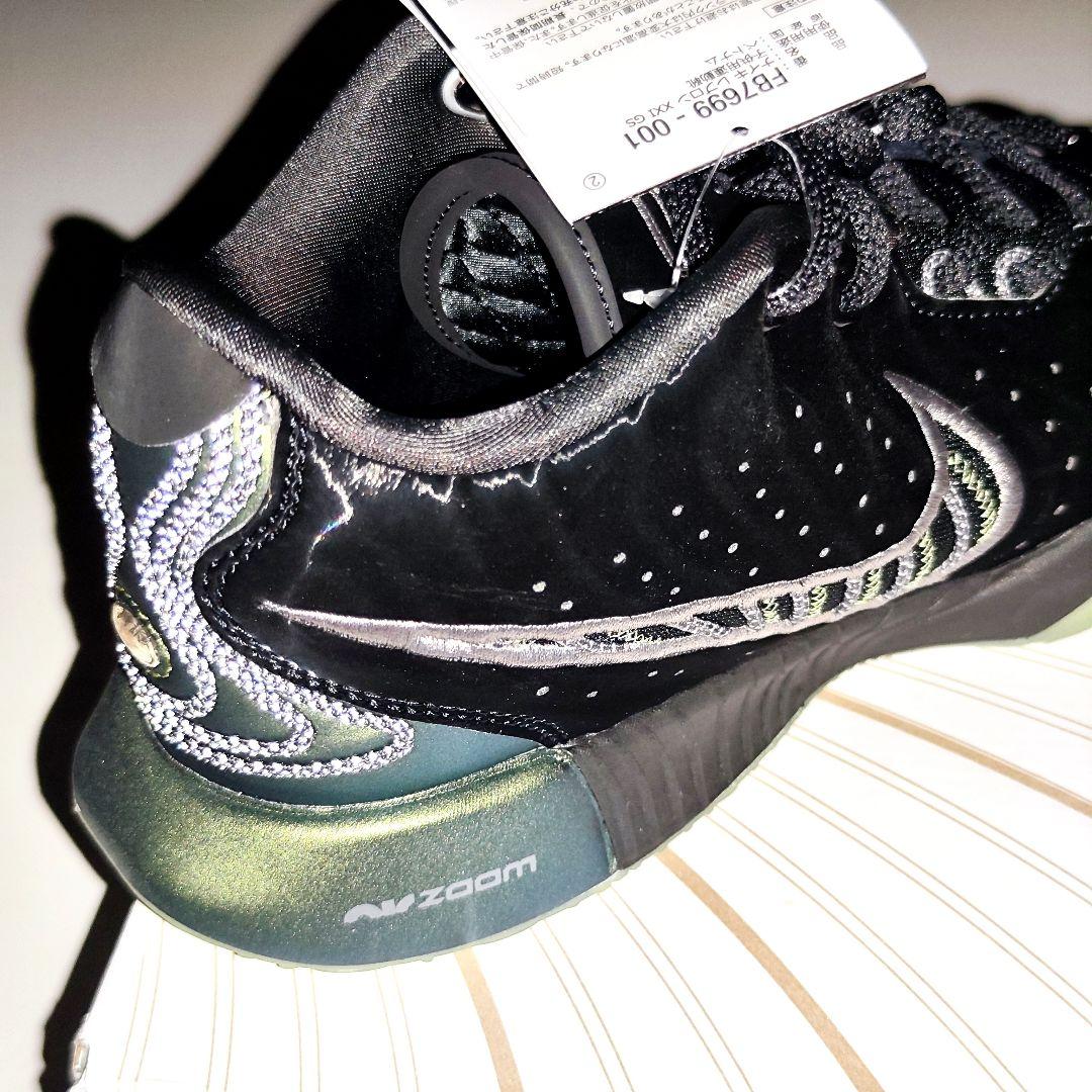 24時間内発送【未使用新品】NIKE レブロン21 Tahitian 23.0