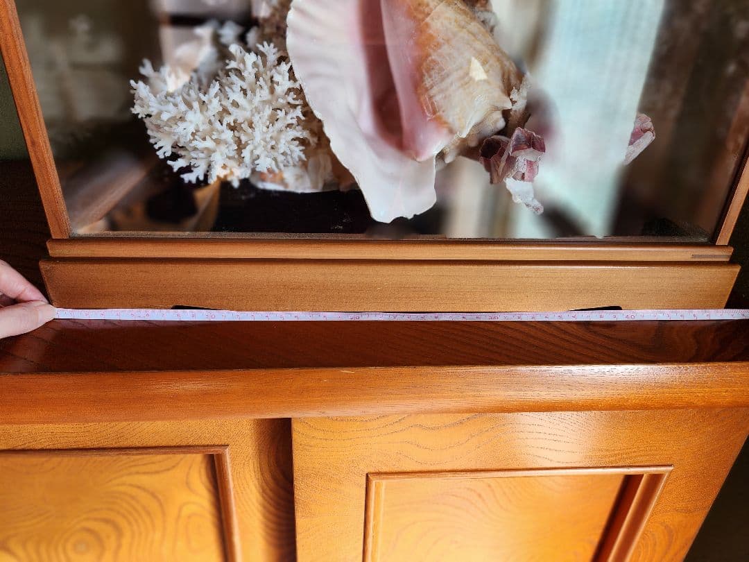 貝と珊瑚のオブジェ