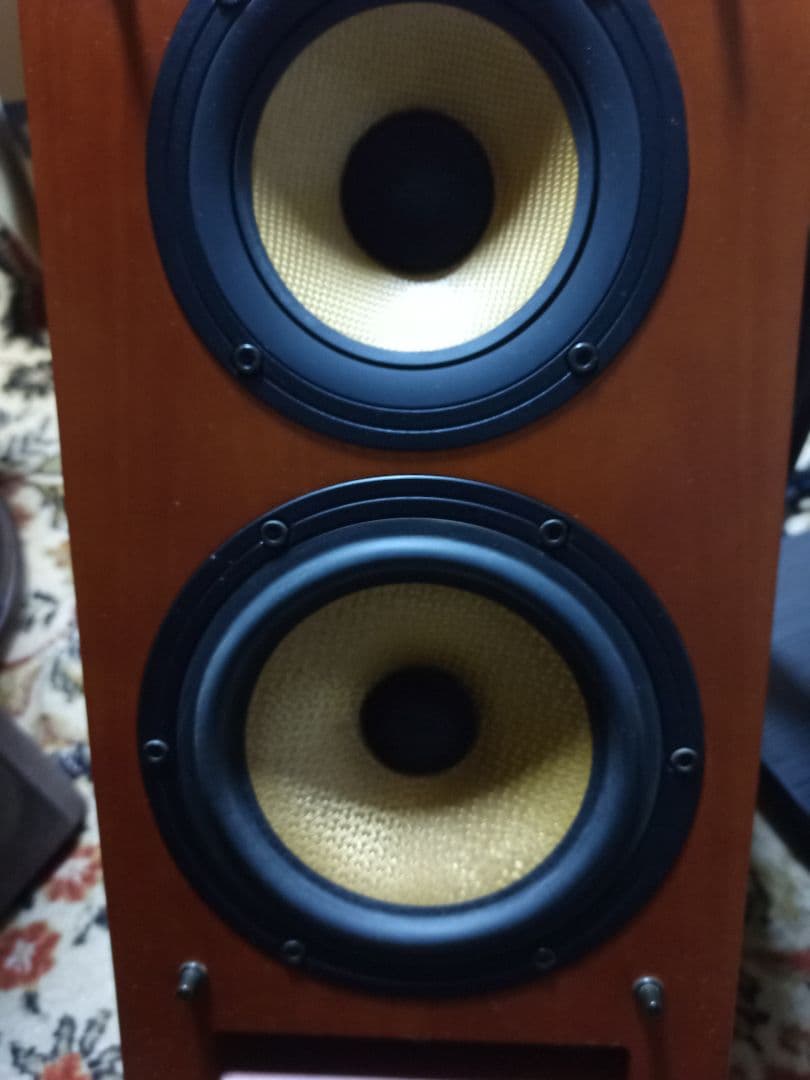 スタジオモニタースピーカー 木目調 2ウェイ　　パイオニア　S-A4-LR