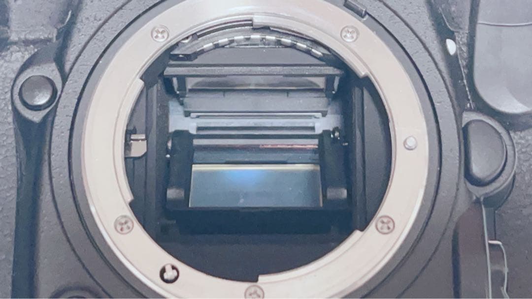 ［割安］Nikon d500 SIGMA sport 60-600mm セット