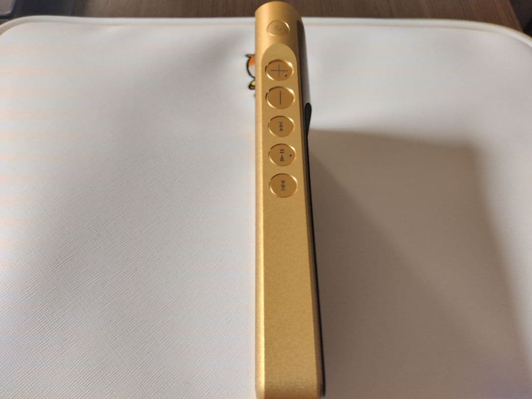 高級 SONY NW-WM1ZM2 DAP ソニーウォークマン おまけ付き