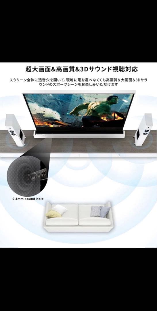 VIVIDSTORMスクリーン110インチ 環境光弱化（alr） 長焦点