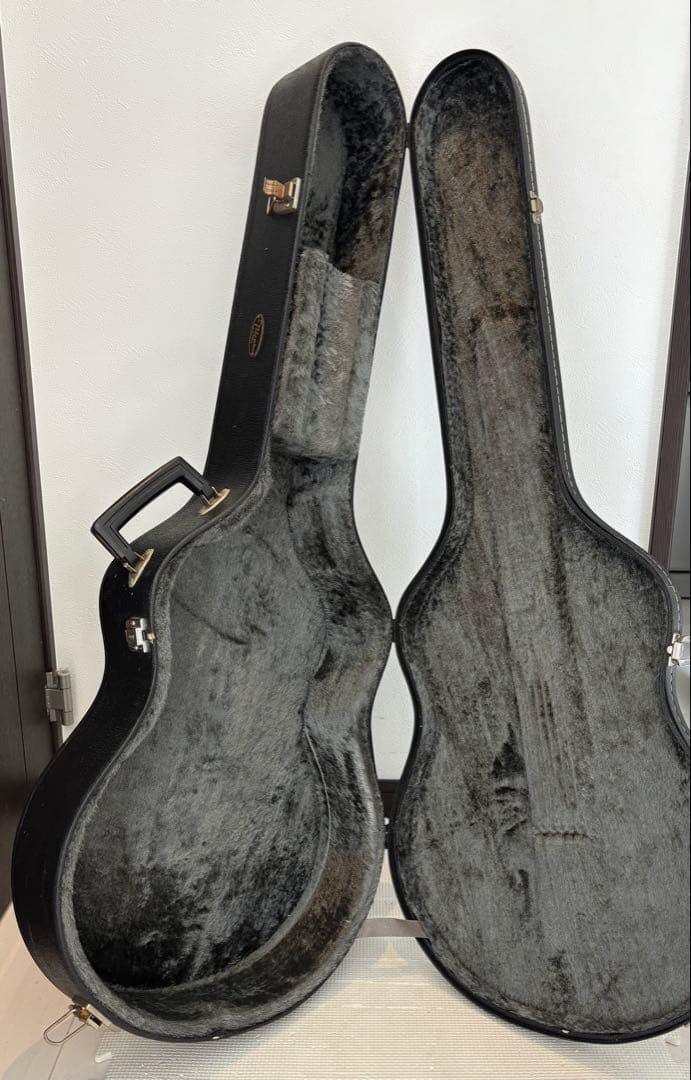 タカミネ　エレアコ　PT106