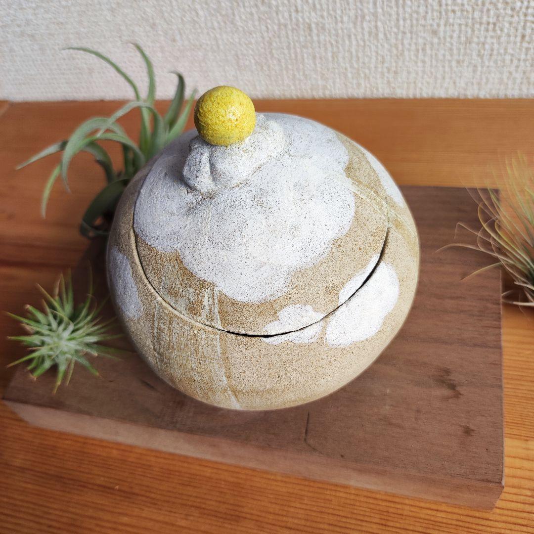 おこつぼ　天使のはしご