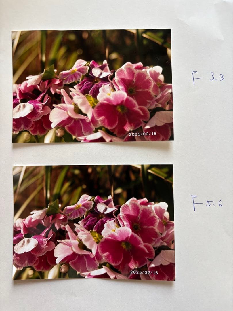 7日のみ限定価格カメラ女子Nikon FE10付属多中古完動品