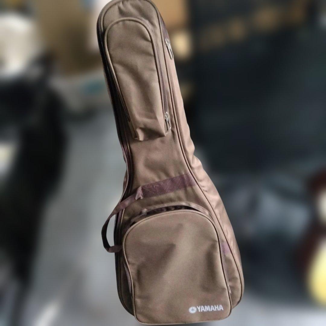 ③ヤマハ FG-JUNIOR JR2S ミニアコースティックギター2023年購入