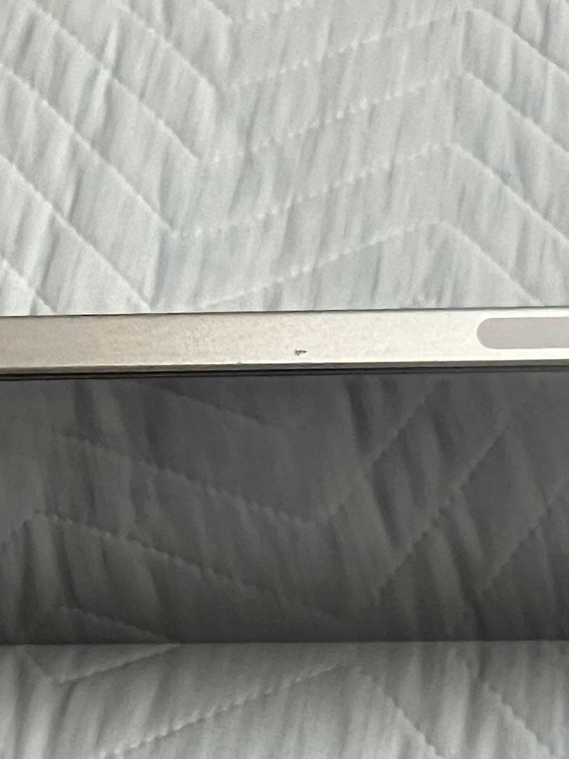 iPad Pro (第5世代) 12.9インチ シルバー 256GB