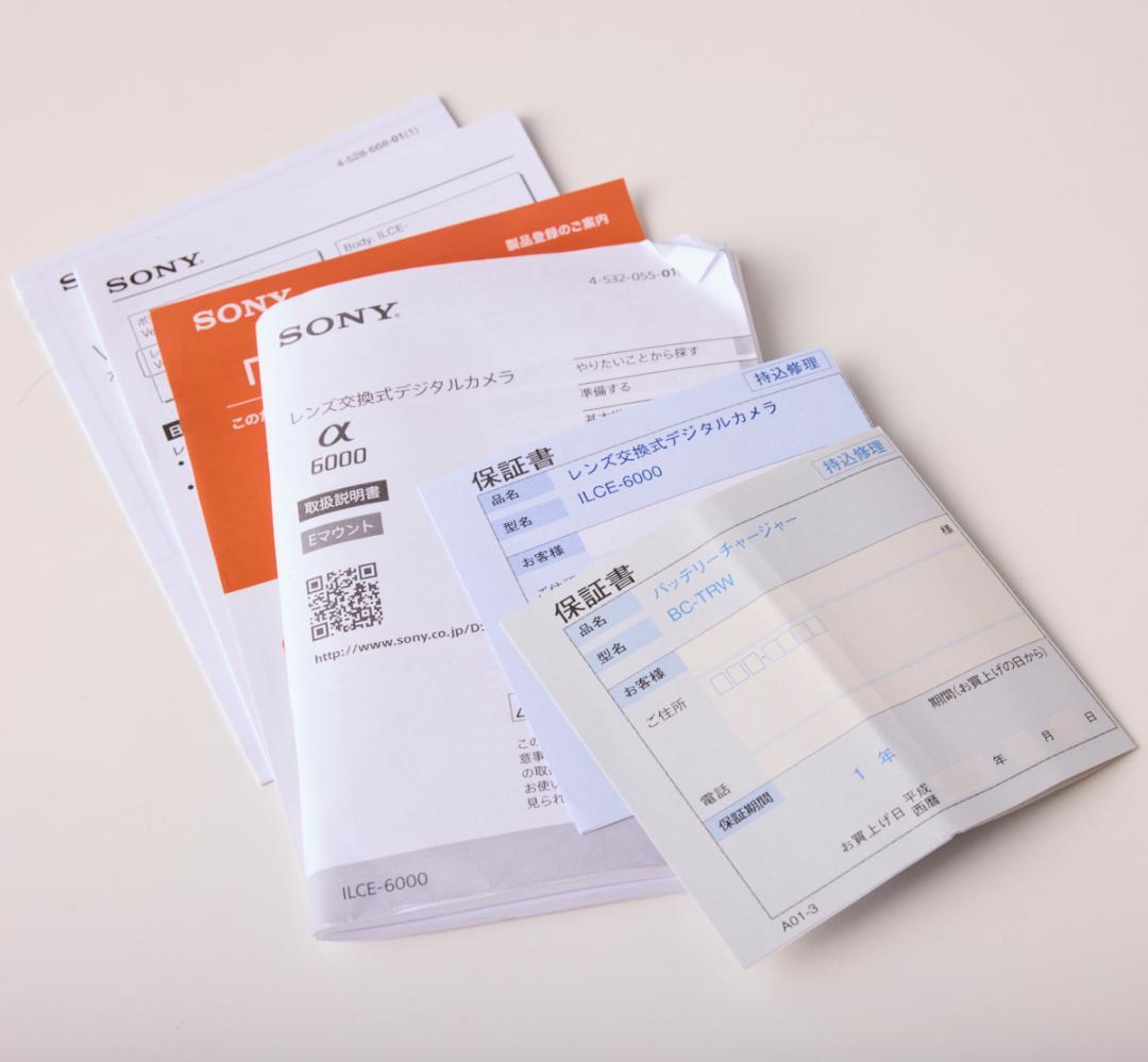 SONY α6000 ボディ 動作確認済み 元箱 おまけ付き