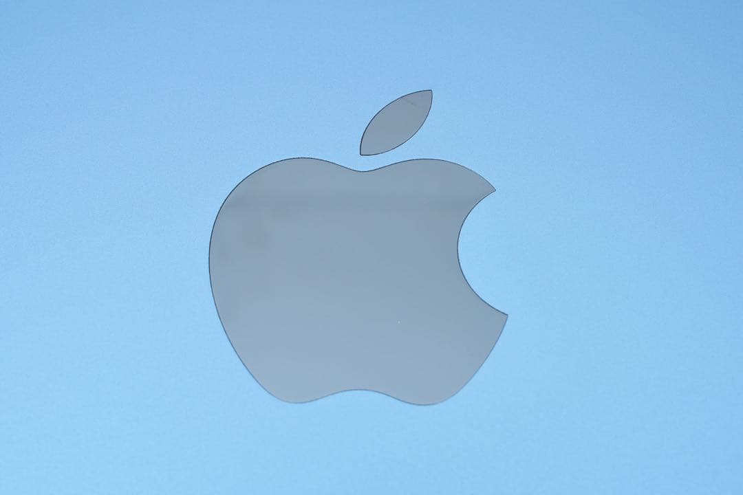 第10 iPad Wi-Fi 256GB ブルー ANA刻印 SFC