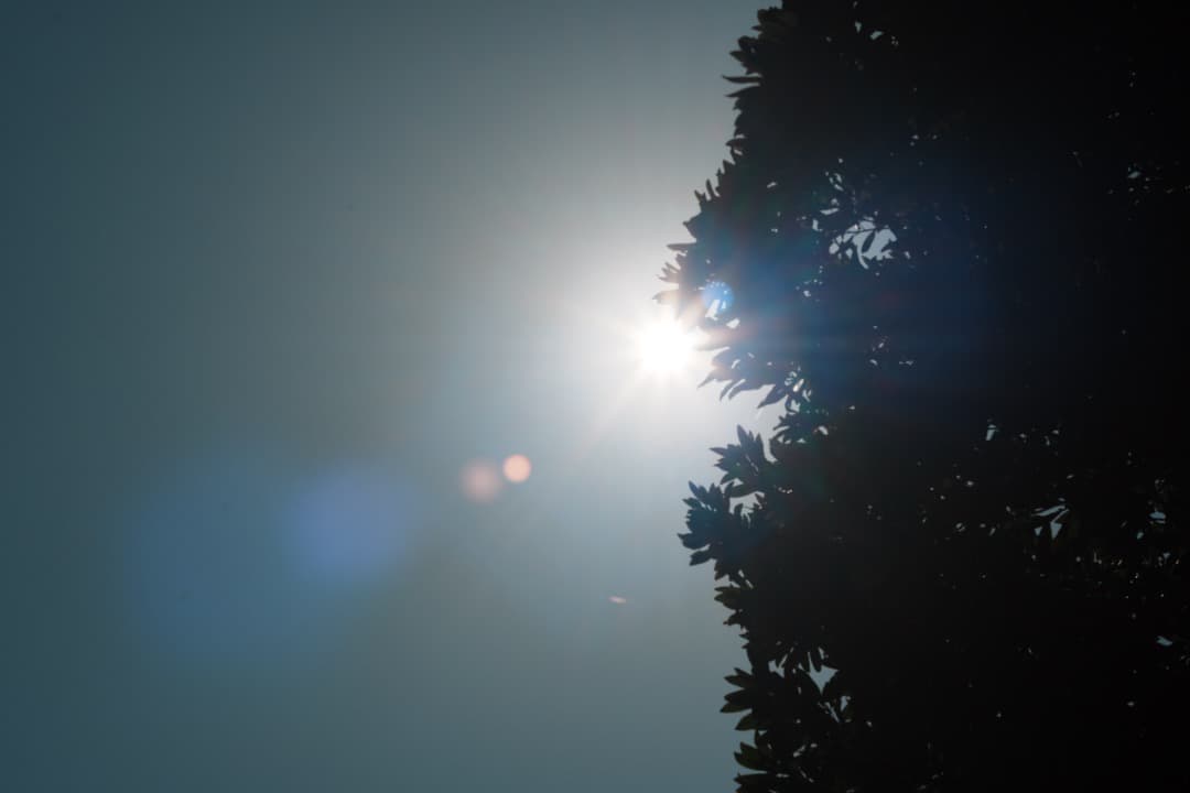 【バブルボケ】動作◎ FUJINON 55mm F2.2 後期 M42 739