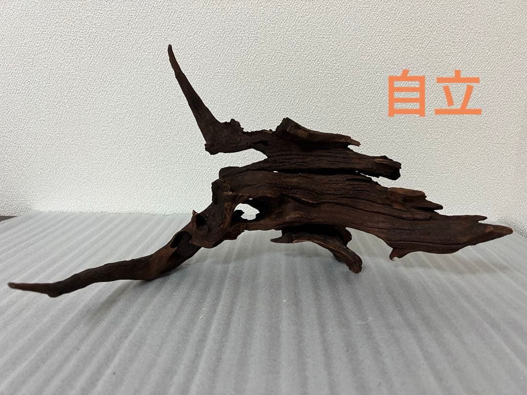 HX-095 流木　マシンガンウッド　ホーンウッド アクアリウム　ブランチウッド