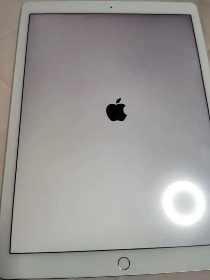 ipad pro 12.9第1世代 + Applepencil 第1世代