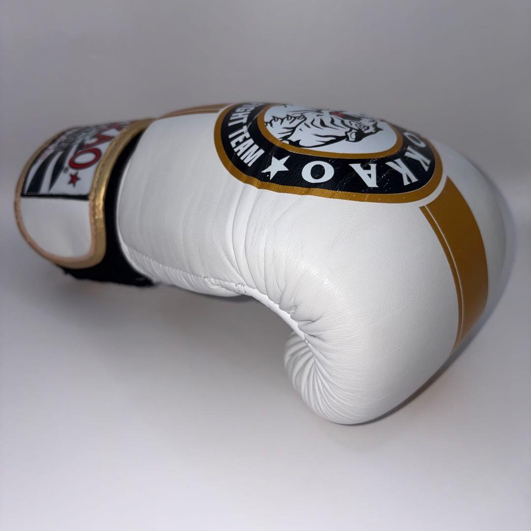 【希少モデル】 YOKKAO ヨッカオ 10オンス ボクシング グローブ