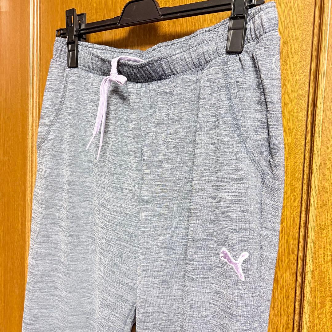 プーマ PUMA ジャージ上下セット　グレー　レディースL