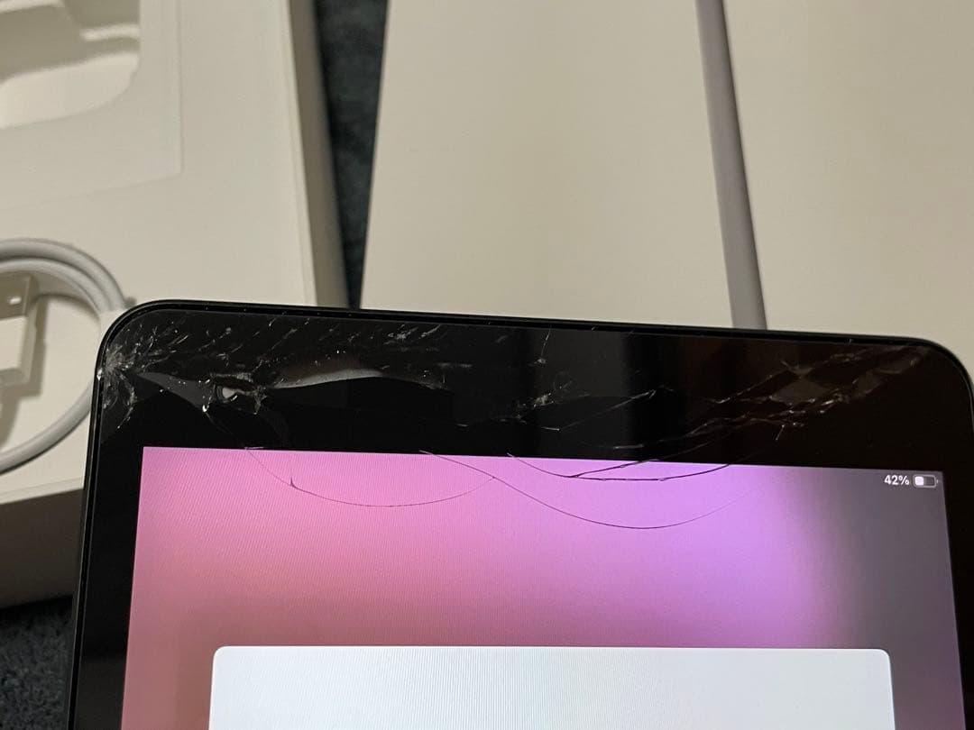 【画面割れ、欠け】iPad mini5/箱付き